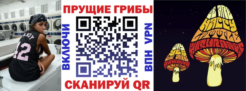 Купить закладки  Сарапул  Псилоцибиновые грибы Cubensis 