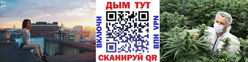 Купить где  Сарапул  Шишки марихуана план 